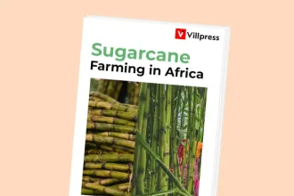 Sugarcane Farming in Africa