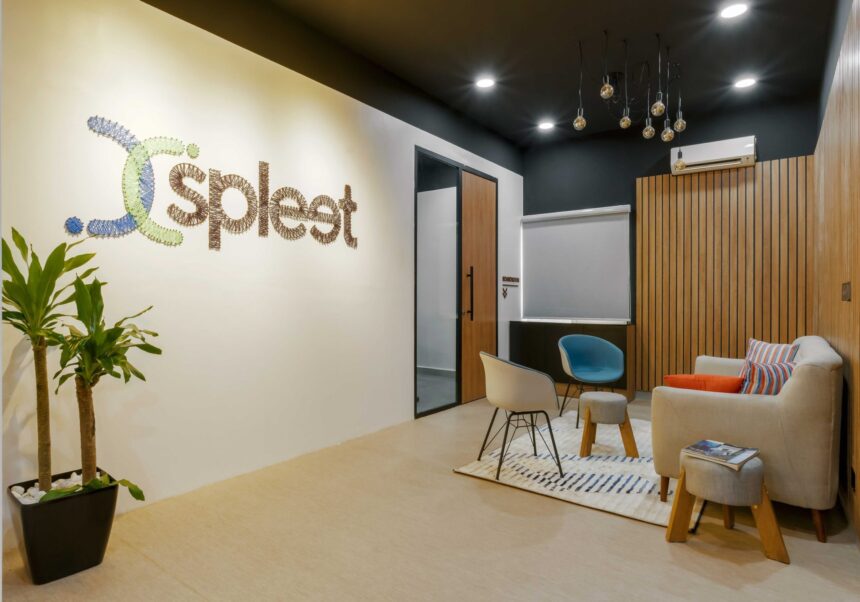 Spleet Image
