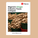 Ginger report