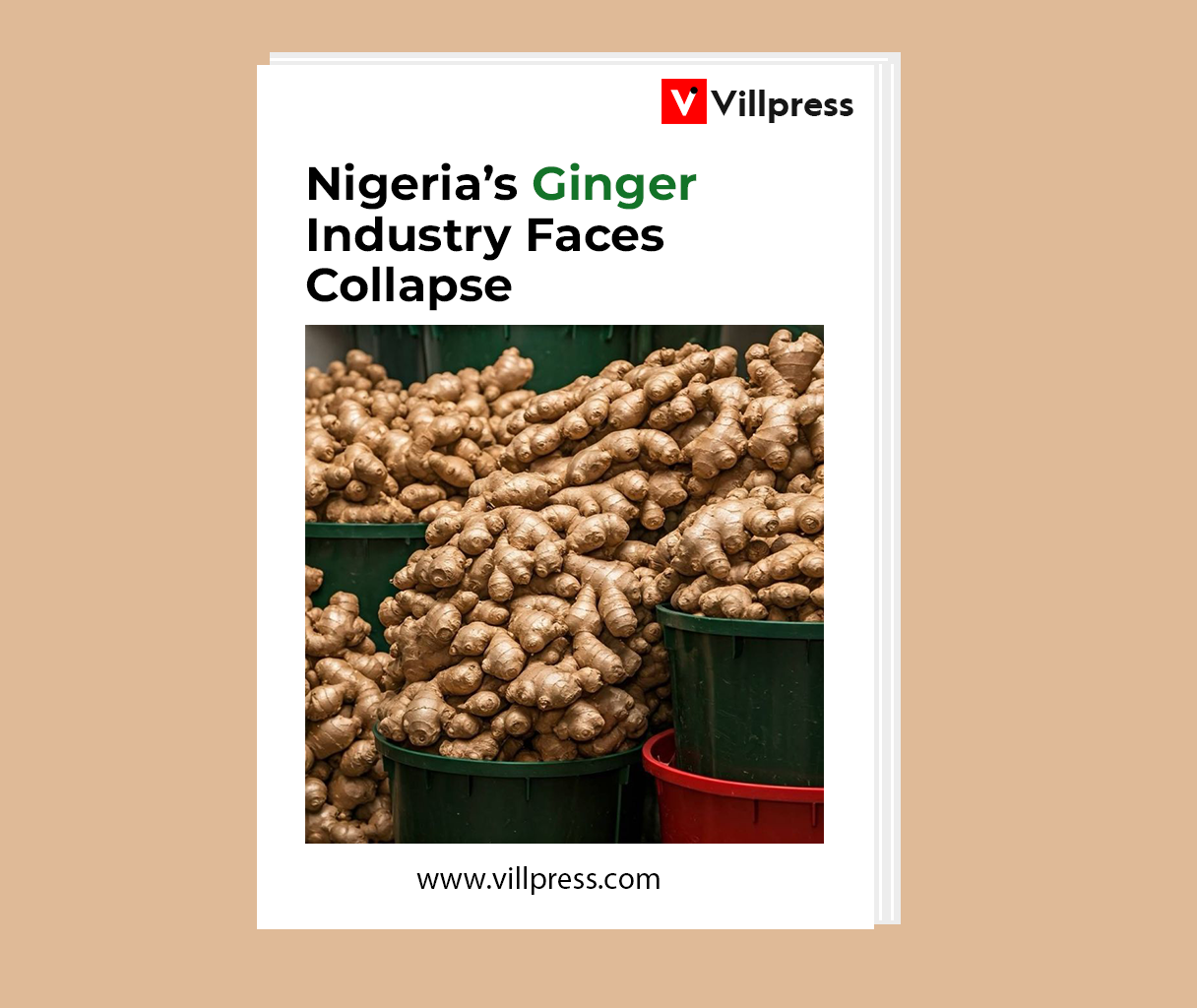 Ginger report