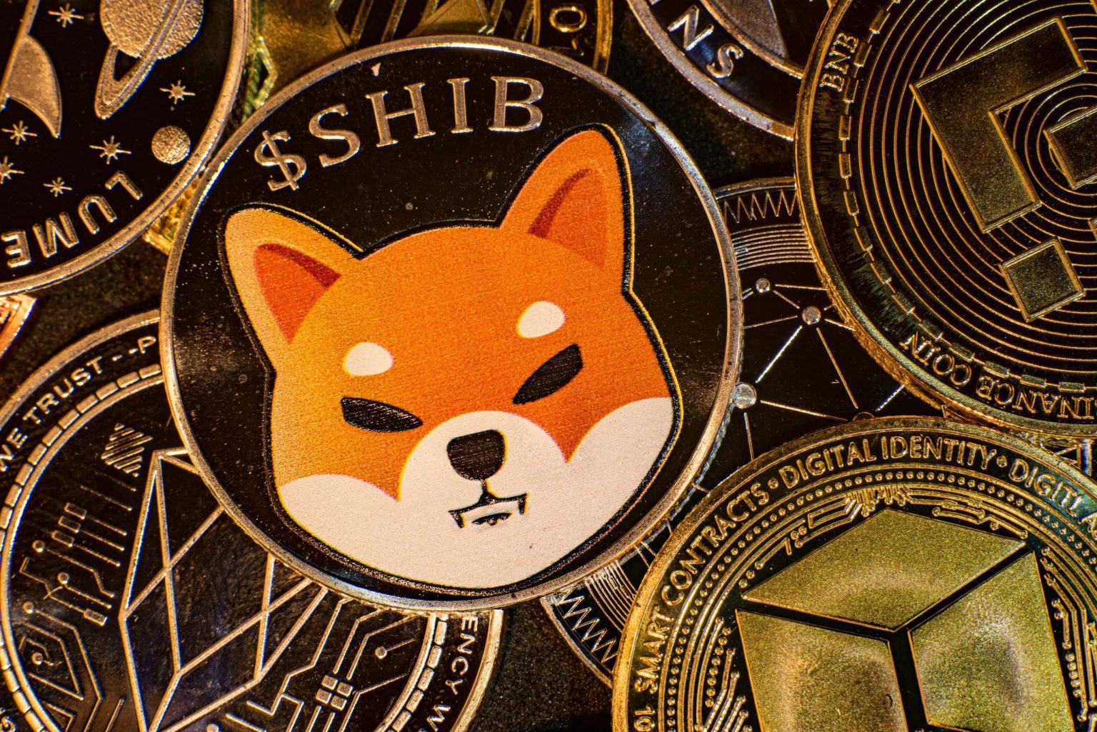 54 Billion Shiba Inu