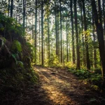 Skyline Nav AI Unveils GPS-Free Navigation System at TechCrunch Disrupt 2025 30 Skyline Nav AI