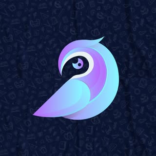 Bewize EdTech app helping Moroccan primary school students learn through gamified lessons in math, French, and English.