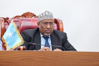 Somalia Passes Cybersecurity Law