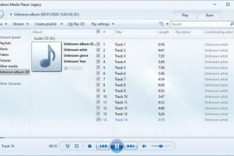 windows media player