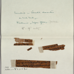 Google AI India cultural heritage