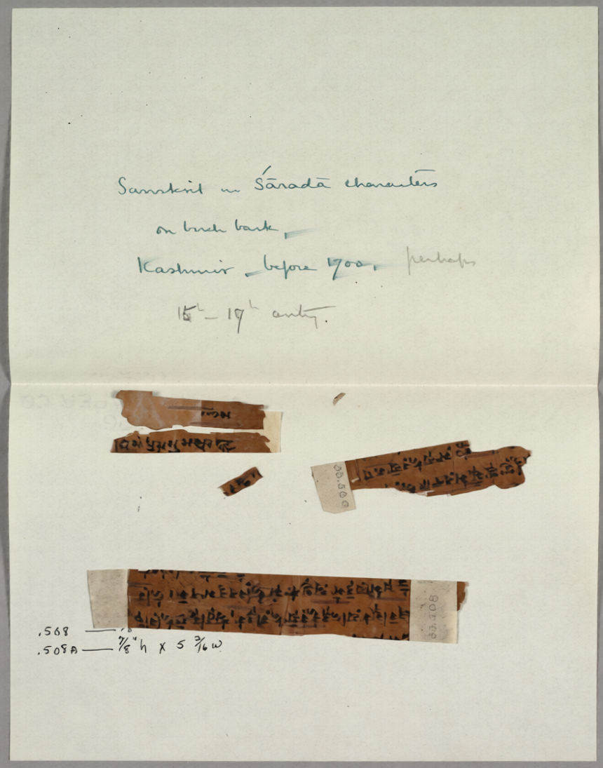 Google AI India cultural heritage