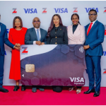 visa 22
