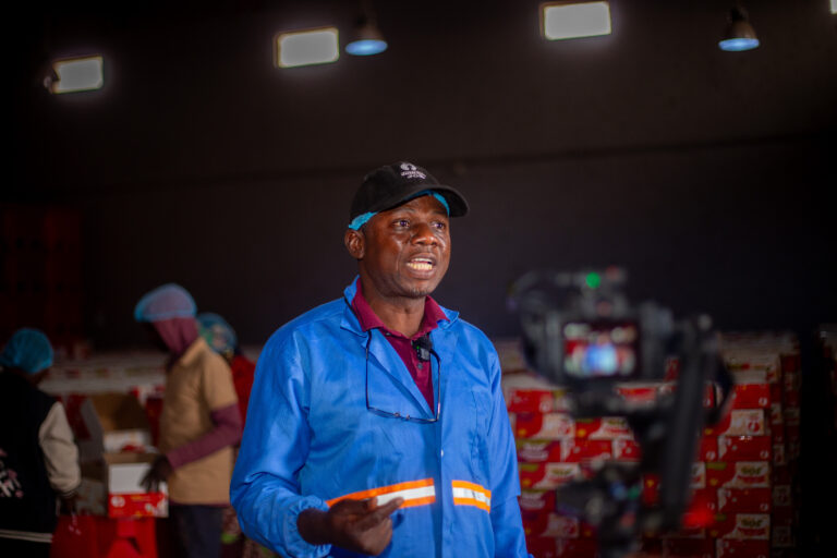 Tomato Jos Raises $2 Million as Nigeria Pushes to Cut Tomato Paste Imports 24 tomat