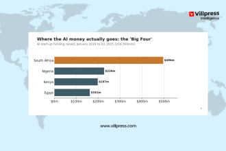 Africa's AI Divide