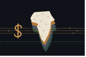 Africa's Financial Rails